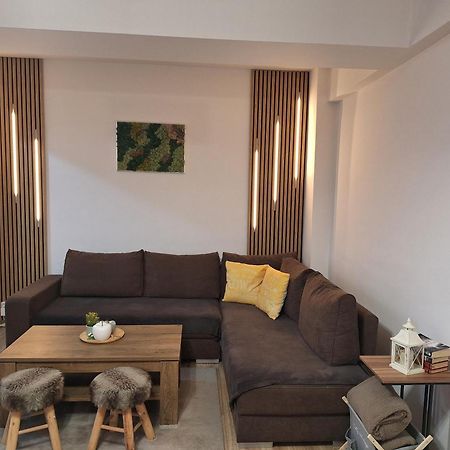 Angel apartament Sibiu Buitenkant foto