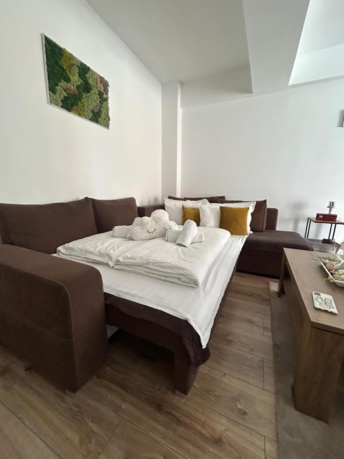Angel apartament Sibiu Buitenkant foto