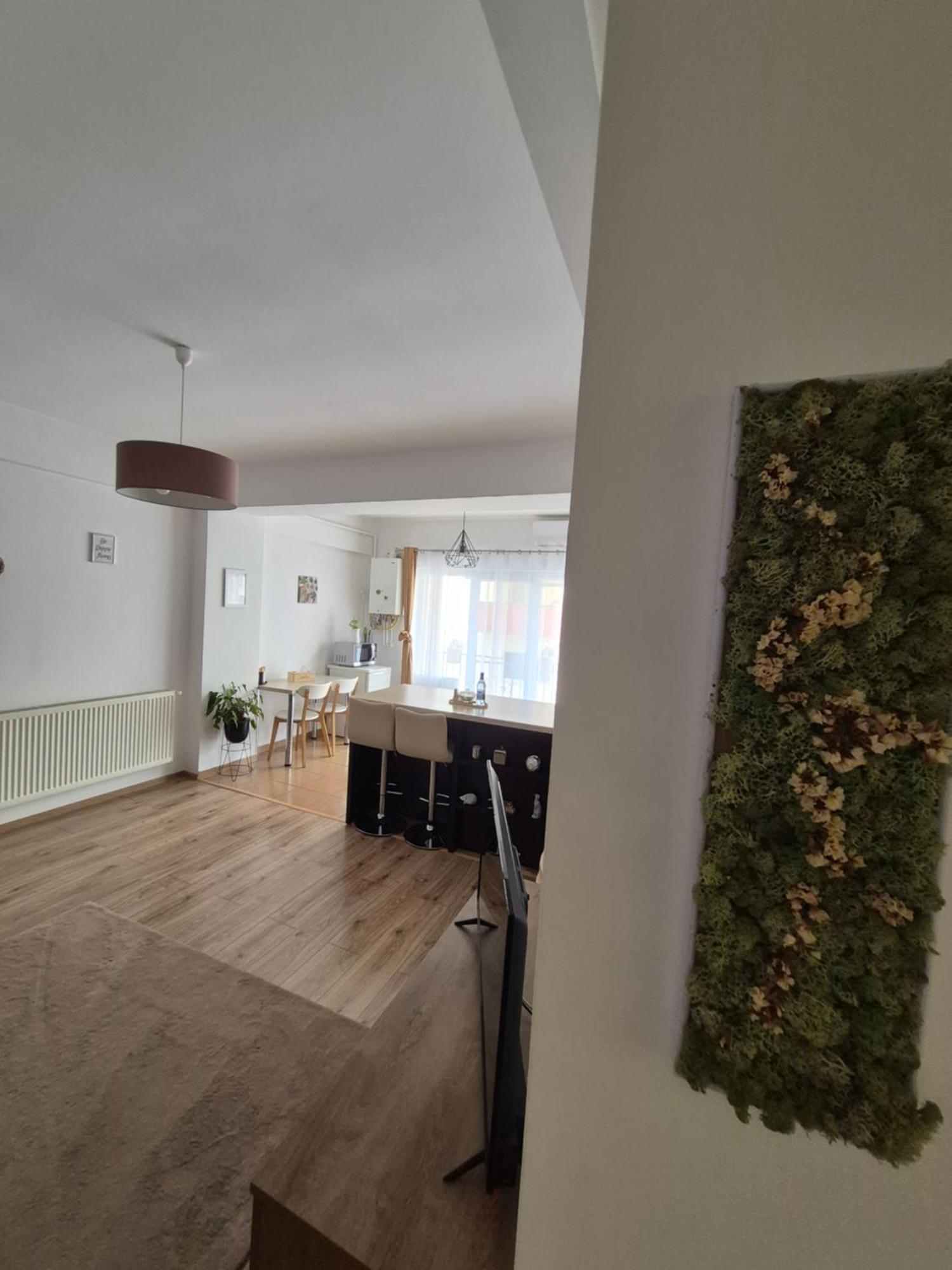 Angel apartament Sibiu Buitenkant foto